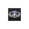 173d Airborne Wings Car Magnet