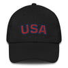 USA Dad Hat